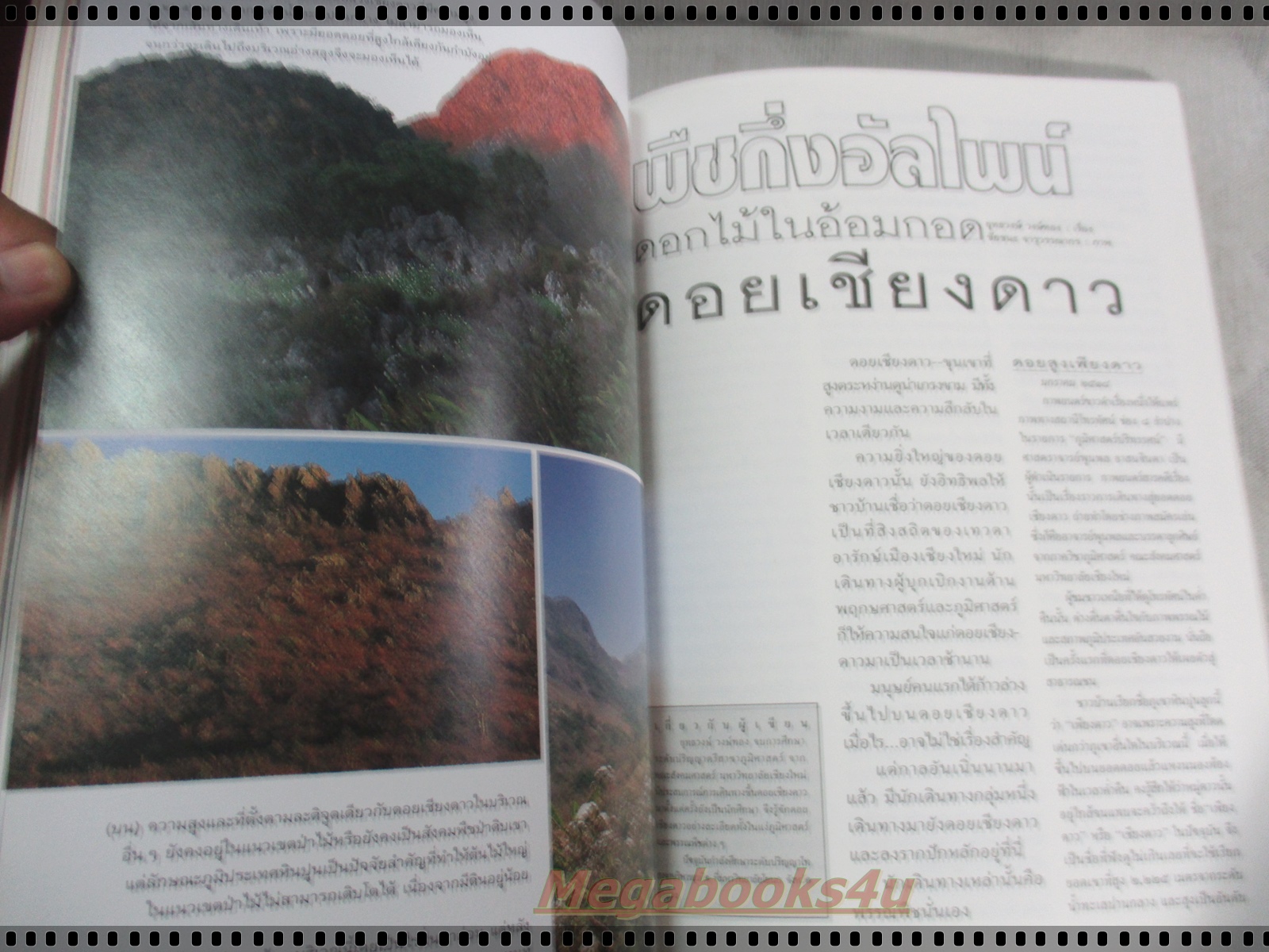 นิตยสารสารคดี ฉบับที่139 กันยายน 2539 ปีที่12 ปลาบึก,พรรณพืชดอยเชียงดาว,โซโกร,สมรักษ์ วีรบุรุษโอลิมปิค,