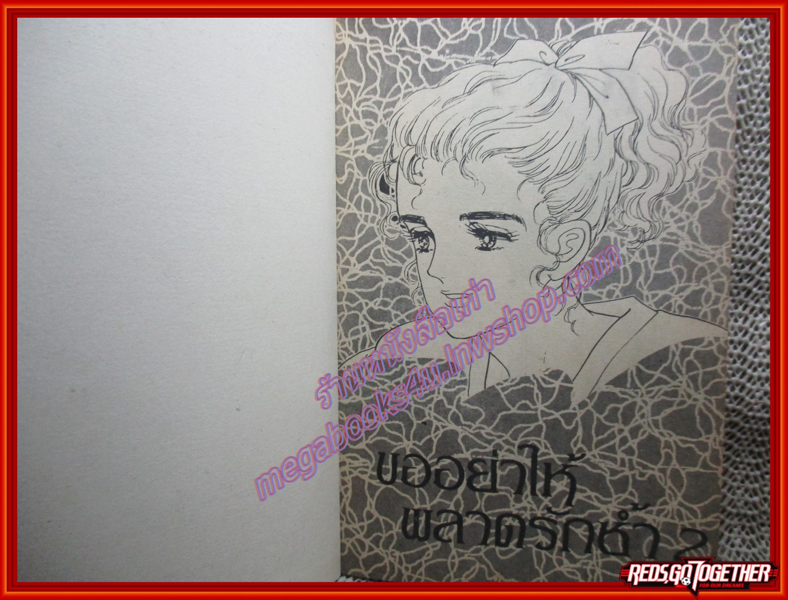 การ์ตูนบ้าน ขออย่าให้ พลาดรักซ้ำสอง เล่มเดียวจบ