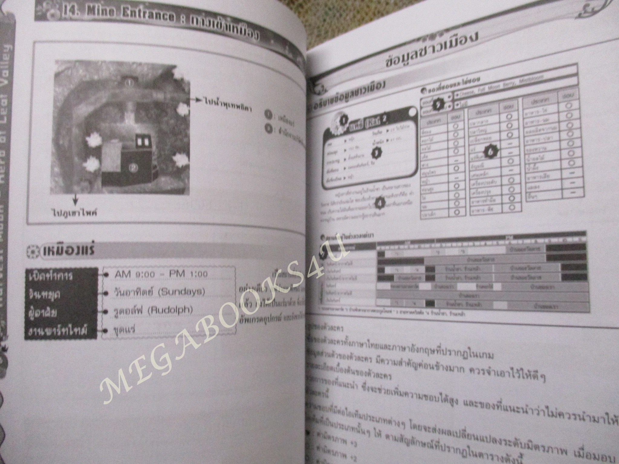 คู่มือเกมส์ HARVEST MOON HERO OF LEAF VALLEY