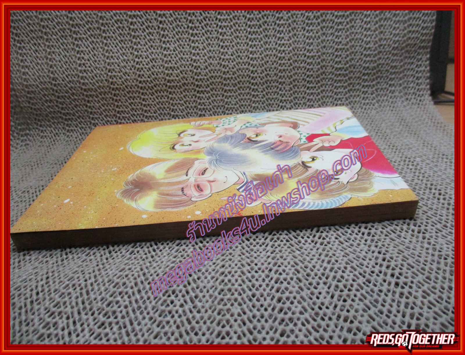 การ์ตูนบ้าน ขอวันมาไล่จับคำว่ารัก เล่มเดียวจบ