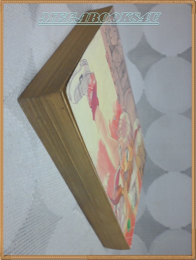 พ่อลูกคู่กัด เล่มเดียวจบ หมึกจีน สภาพดี หนังสือแข็งแรง