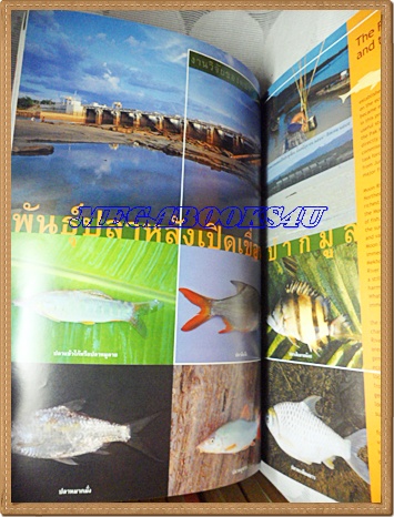 นิตยสารสารคดี ฉบับที่210 สิงหาคม 2545;มด,พันธ์ปลาแม่น้ำมูน,หุ่นเอเชีย-ยุโรป,คลองพะโต๊ะ,วัดสุทัศน์