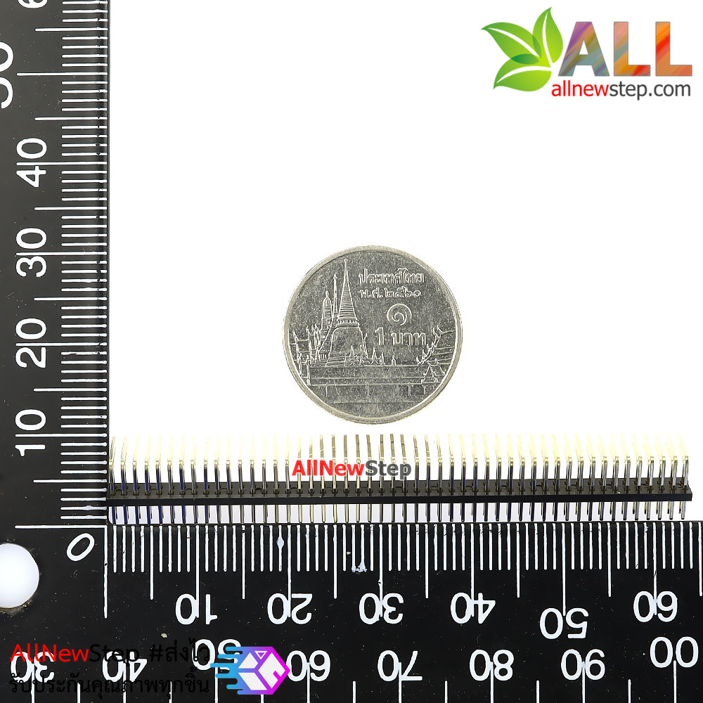ก้างปลา 2x50 แบบฉาก ระยะห่างขา 1.27mm Spacing 1.27MM Double row 50p