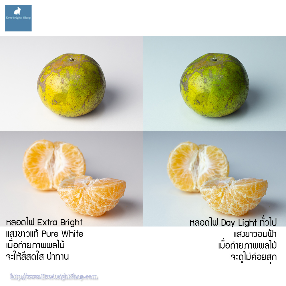 Extra Bright LED Bulb 5500K 45w