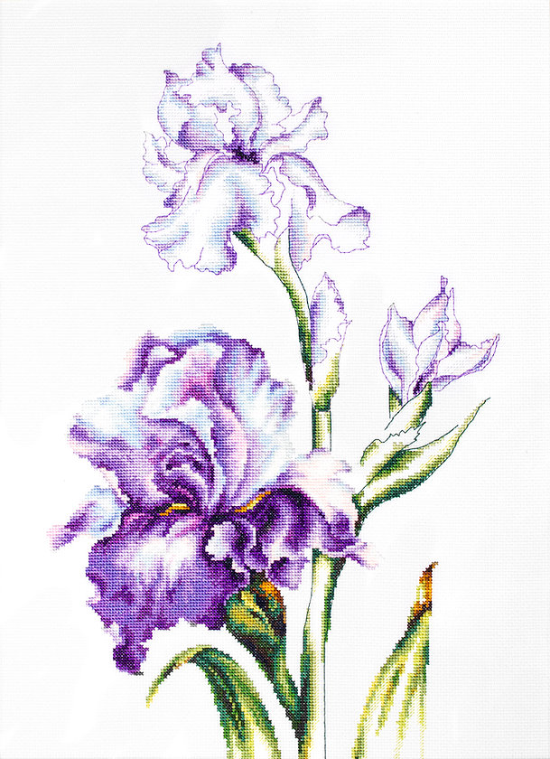 Luca-S ชุดปัก Irises