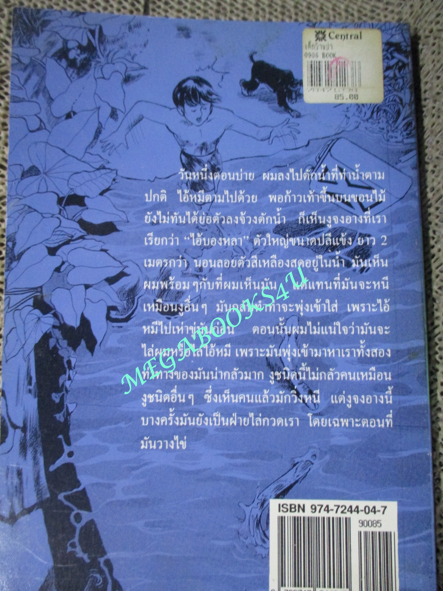 หนังสือ เด็กบ้านป่า. ผลงานของ ฉลอง เจยาคม