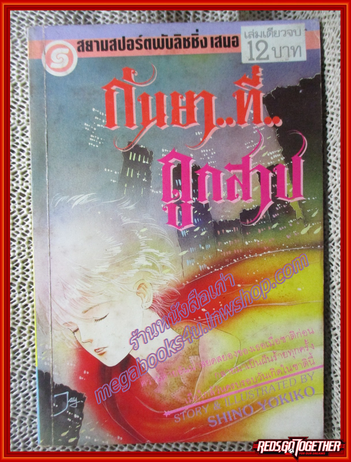 การ์ตูนบ้าน กันยาที่ถูกสาป เล่มเดียวจบ สนพ.สยามฯ