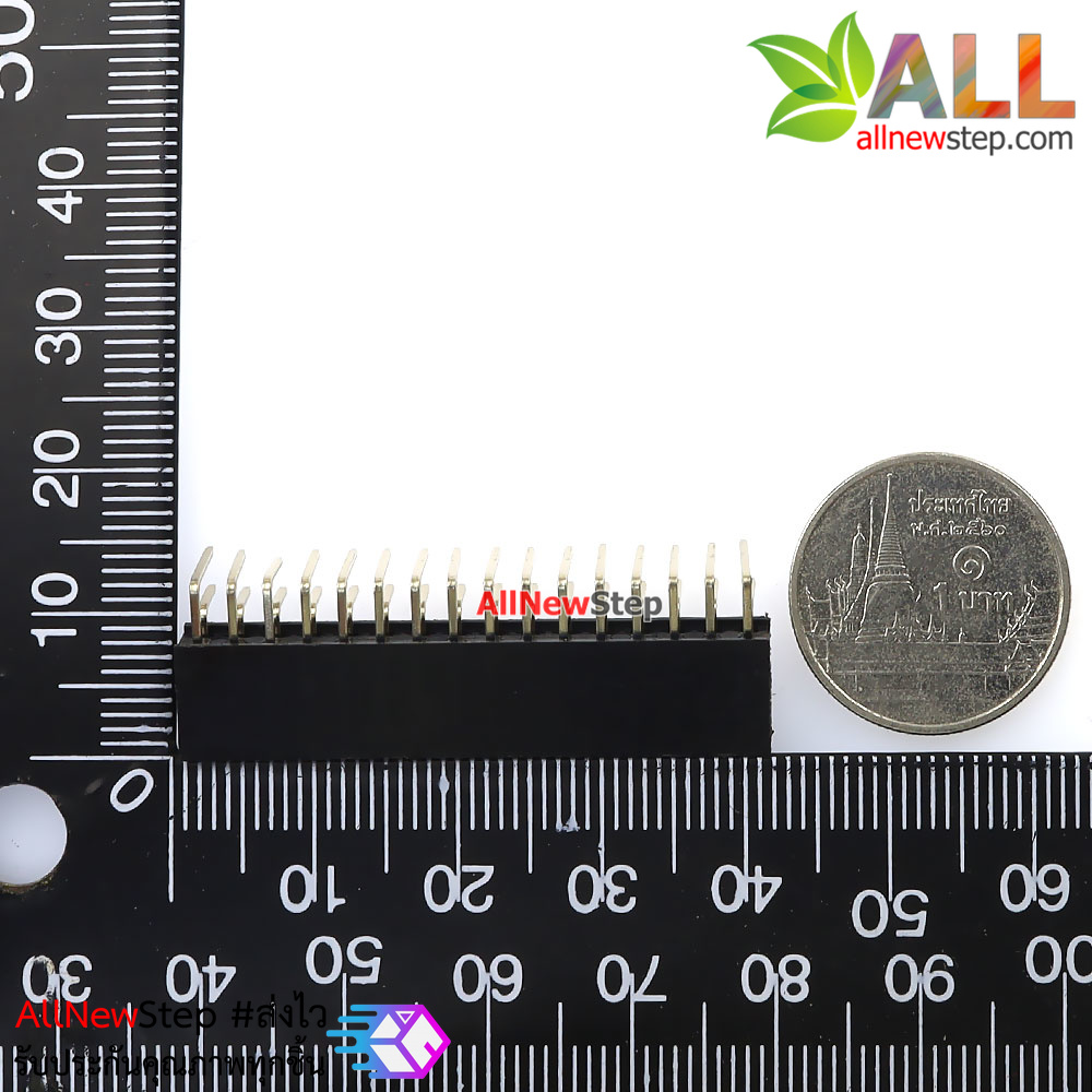 ขาก้างปลาตัวเมียแบบฉาก 2x16 ขา Double Row Hole Jack 2x16 PIN Header 2.54mm