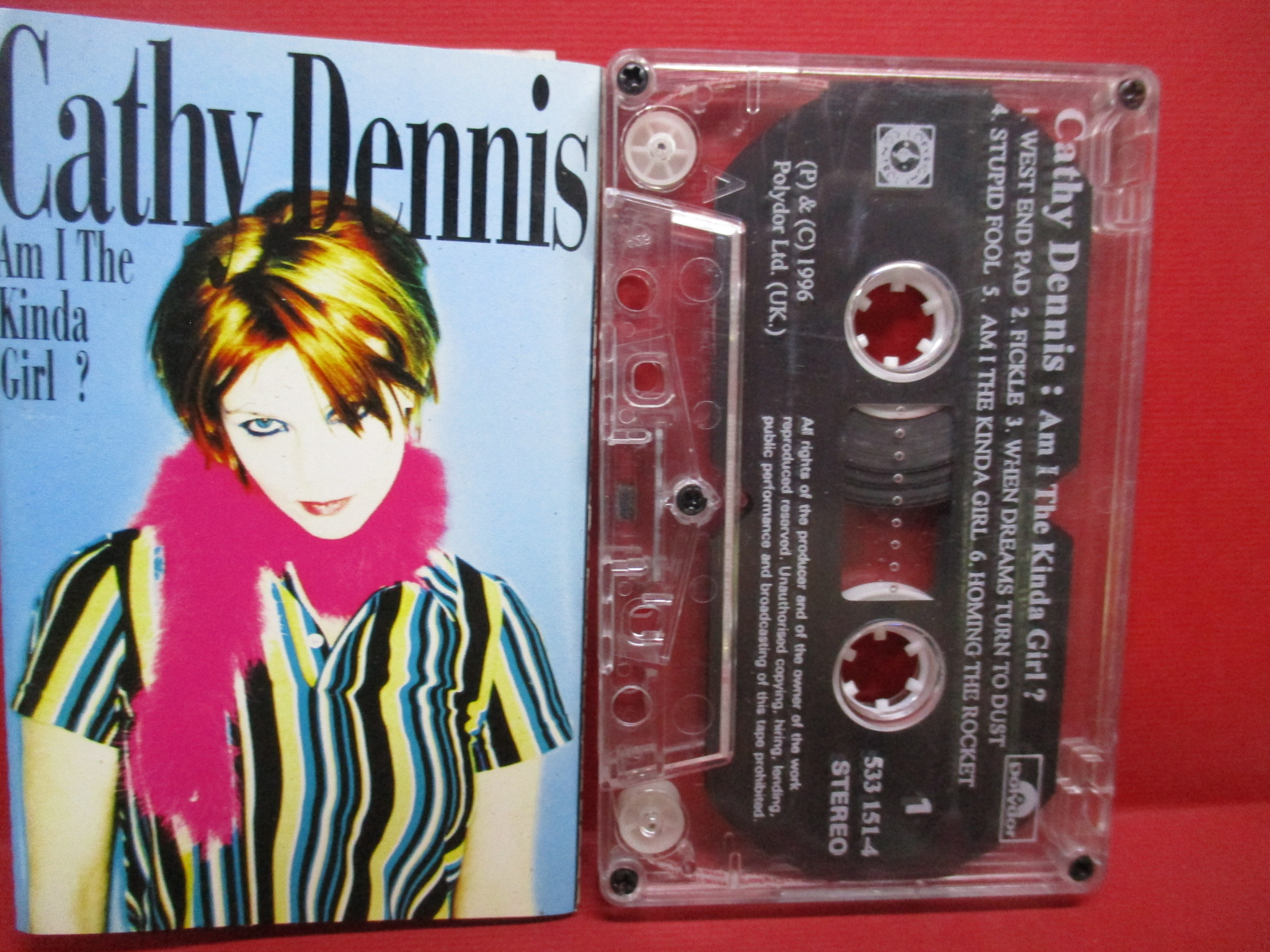 เทปเพลงสากล Cathy Dennis - Am I The Kind Of Girl?