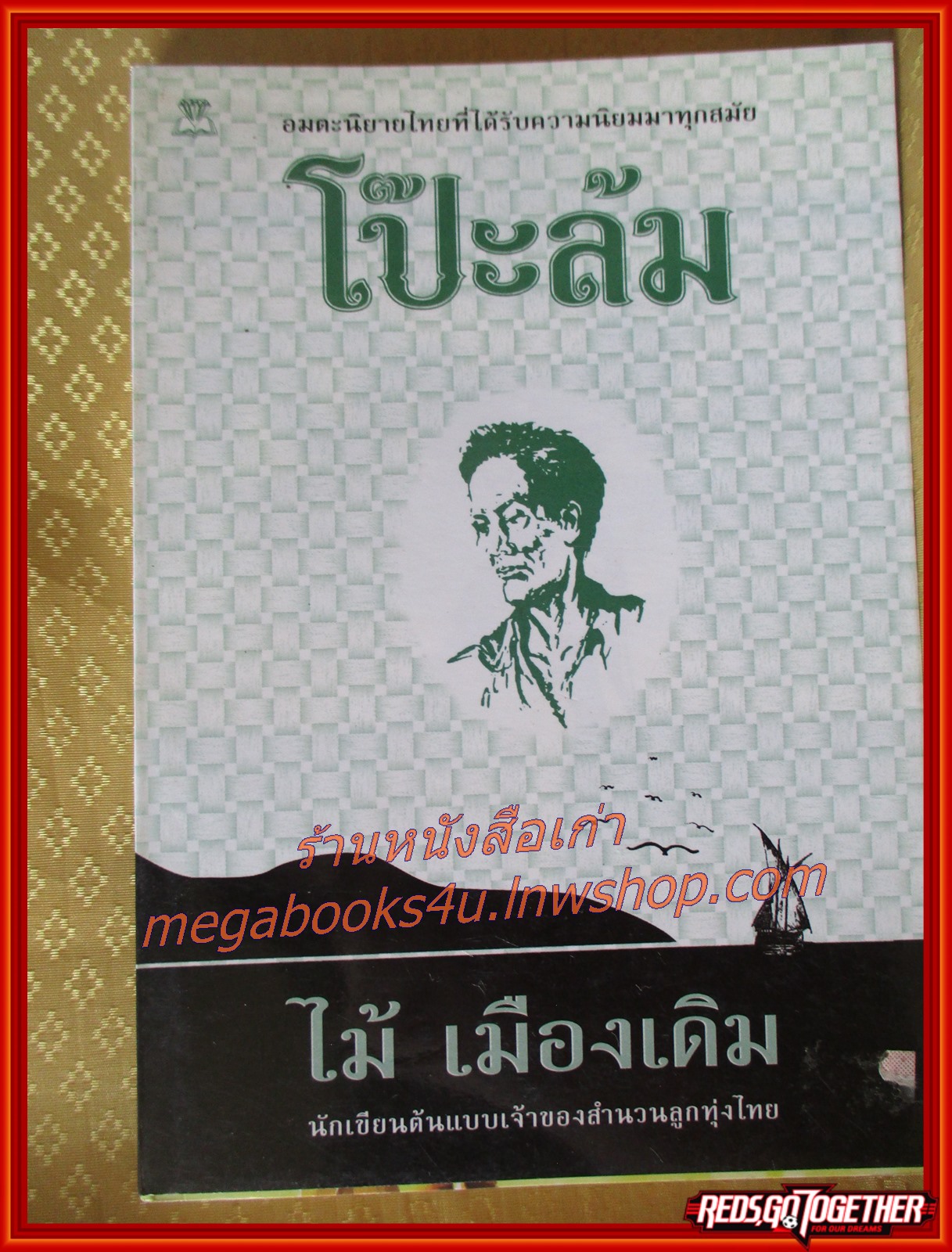 โป๊ะล้ม /ไม้ เมืองเดิม / สนพ. ไพลิน