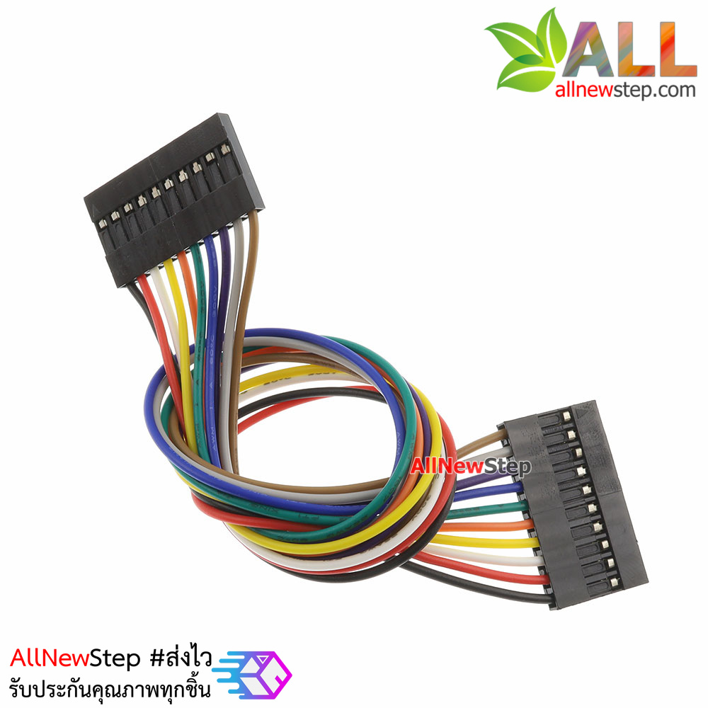 Jumper Wire 10P Female to Female สายไฟจัมเปอร์ เมีย-เมีย 10 เส้น ยาว 20cm