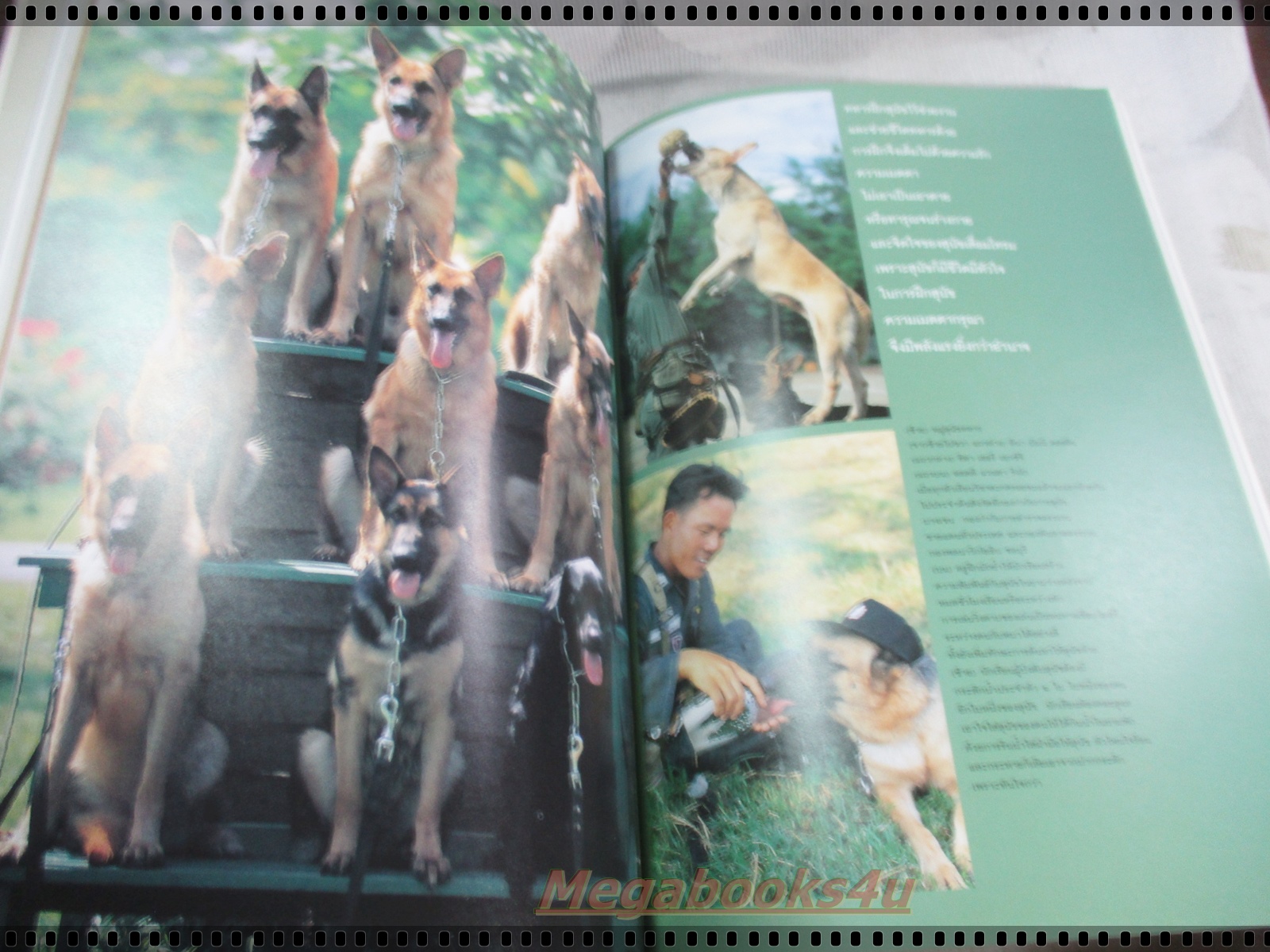 นิตยสารสารคดี ฉบับที่138 สิงหาคม 2539 ปีที่12 สุนัขทหาร,แร้ง,วานูอาตู,อินคา