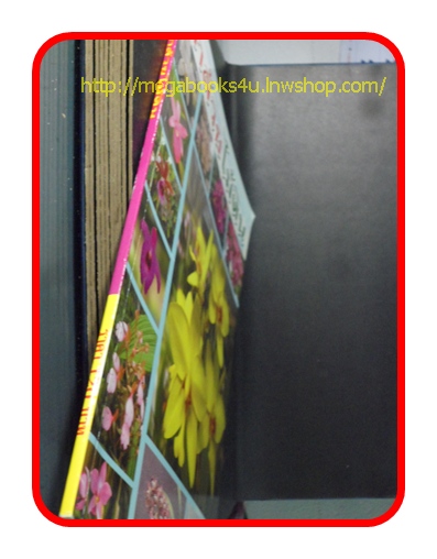 PA1405;กล้วยไม้ดิน, สภาพดี แข็งแรง สวย