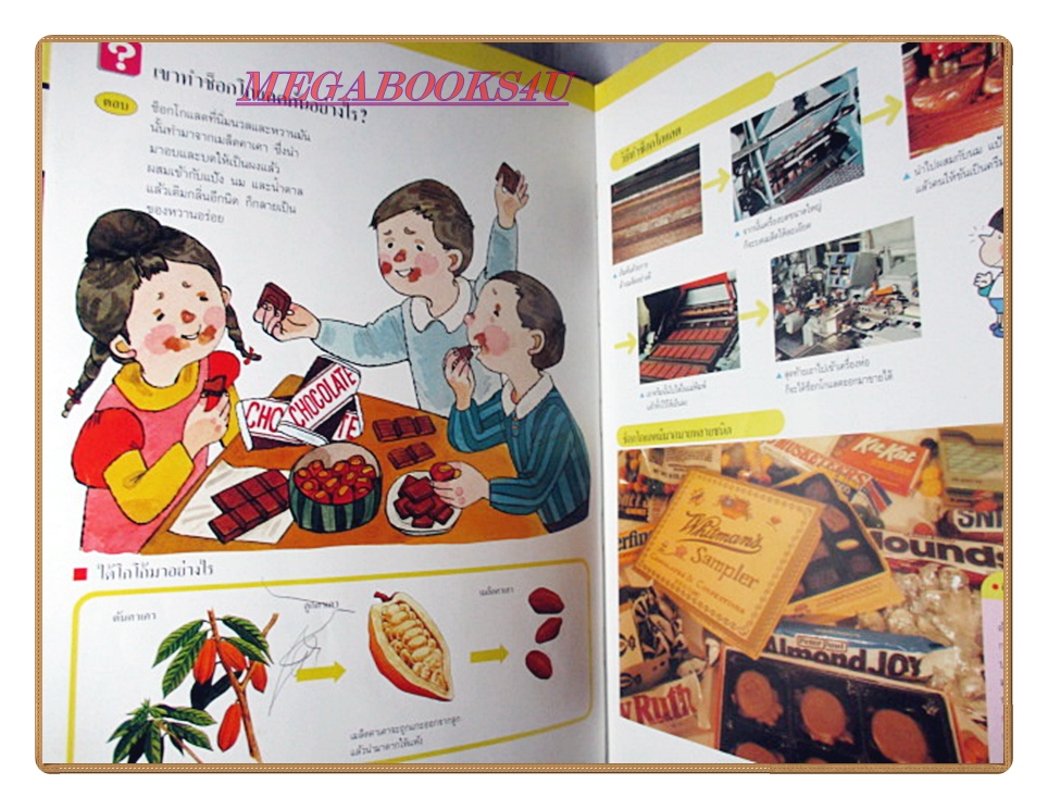 หนังสือชุดความรู้เบื้องต้นสำหรับเด็ก เรื่อง สิ่งรอบตัวเรา