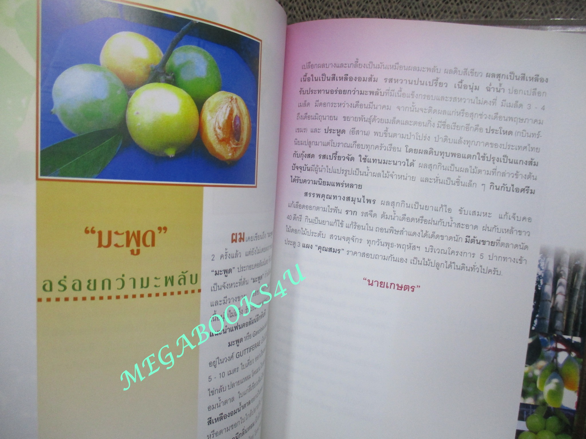 หนังสือ สมุนไพร ไม้ประดับหายาก เล่ม4 โดย นายเกษตร