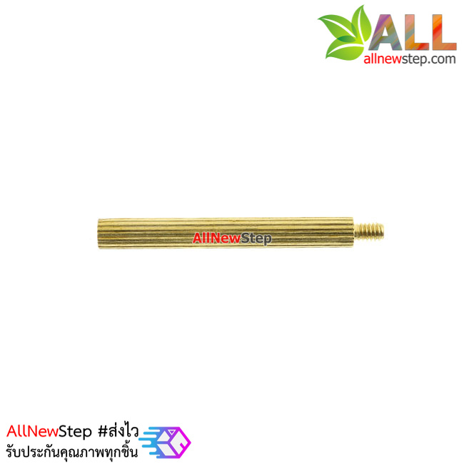น็อตทองเหลือง NUT M2 ขนาด 25+3mm