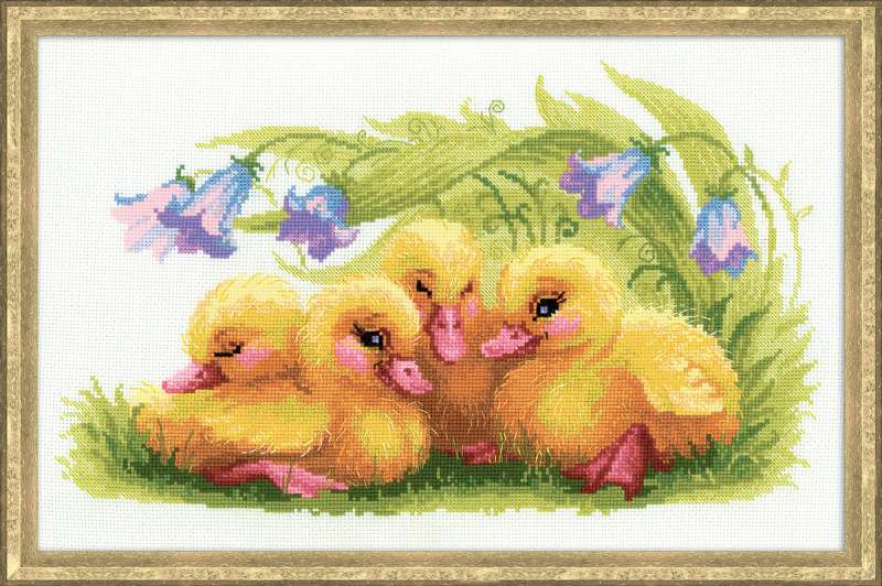 Riolis Funny Ducklings