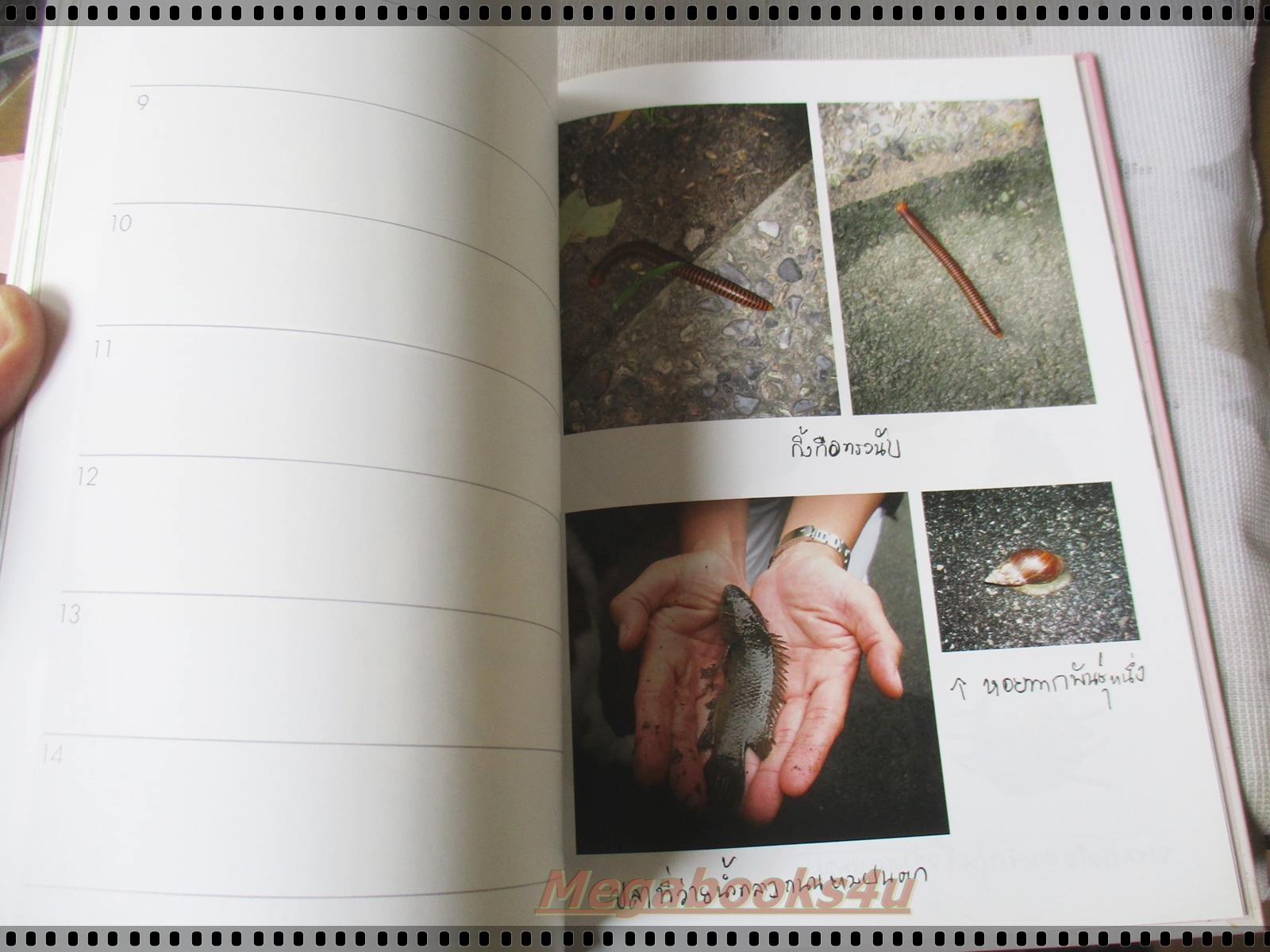 ในร่มเงาวังสระปทุม (ปกแข็งพร้อมกล่อง) ภาพถ่ายฝีพระหัตถ์สมเด็จพระเทพรัตนราชสุดาฯ สยามบรมราชกุมารี