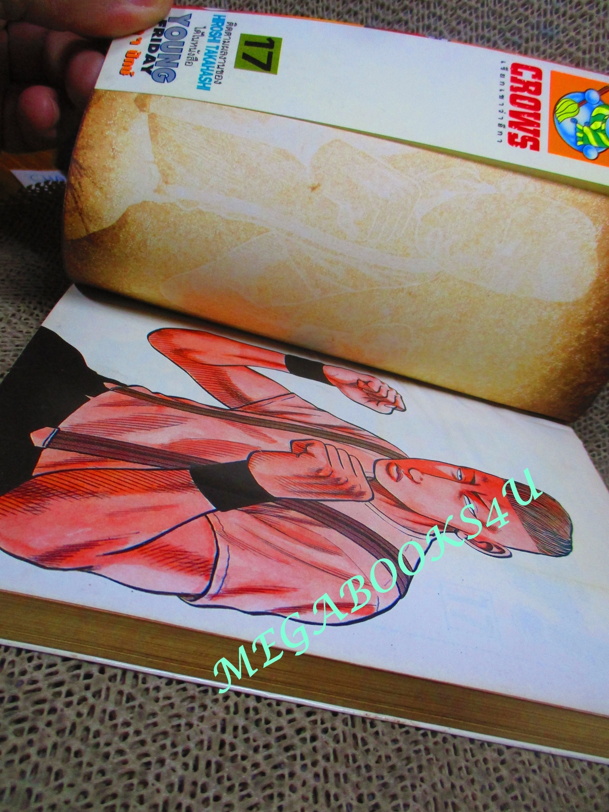 การ์ตูนบ้าน เรียกเขาว่าอีกา เล่ม17 โดยฮิโรชิ ทาคาฮาชิ สนพ.วิบูลย์กิจ (ครบชุด26เล่มจบ) ปกในมีคราบดำ ตามรูป