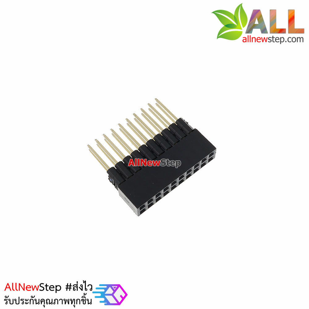 2x10 Pin 2.54mm double socket