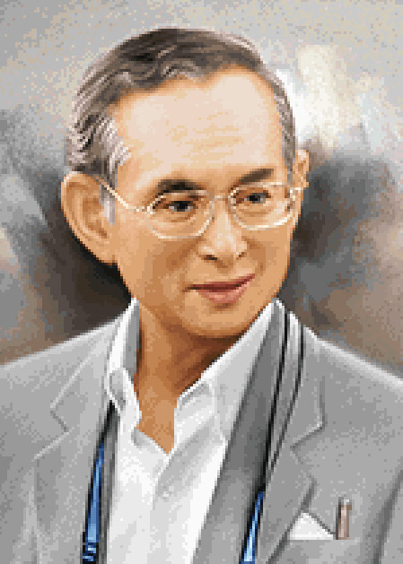 Pinn ในหลวง ร.๙
