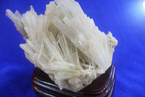 พุ่มหินเซเลไนต์ (Selenite)