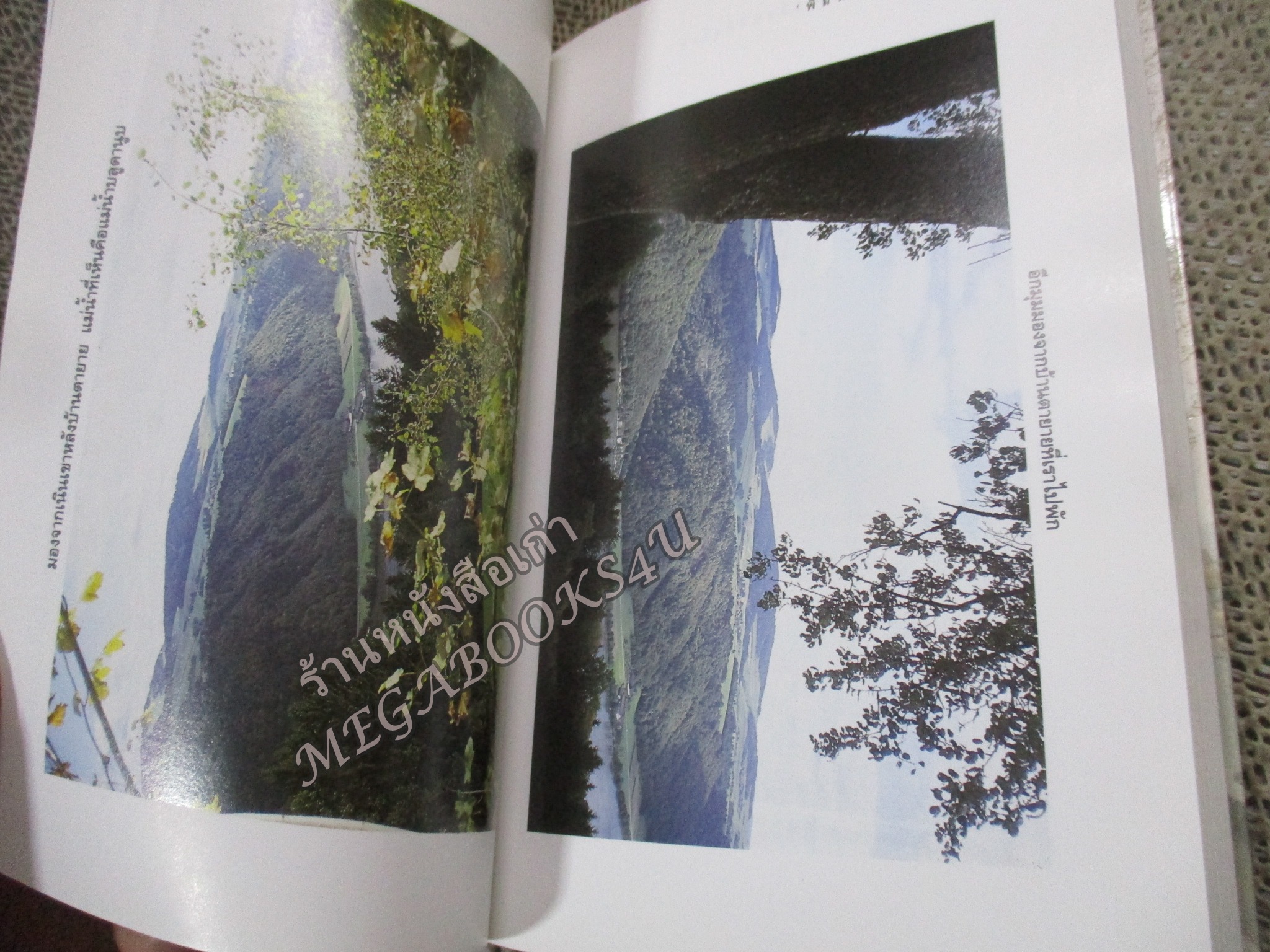 ใบไม้เปลี่ยนสีที่ยุโรป / พิมพ์สี / แพรว / รูปเล่มดี สันกระดาษเปื้อนฝุ่นเล็กน้อย (สารคดีท่องเที่ยว)