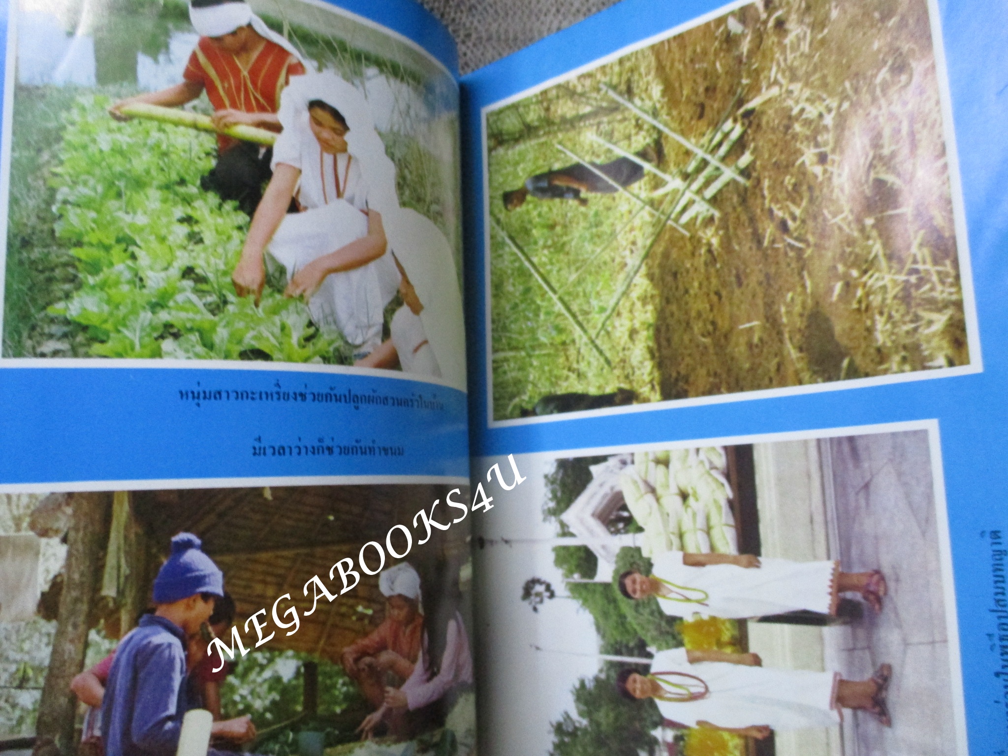 ชาวเขาเผ่า กะเหรี่ยง โดย สำนักงานเลขานุการคณะกรรมการปฏิบัติการจิตวิทยาแห่งชาติ