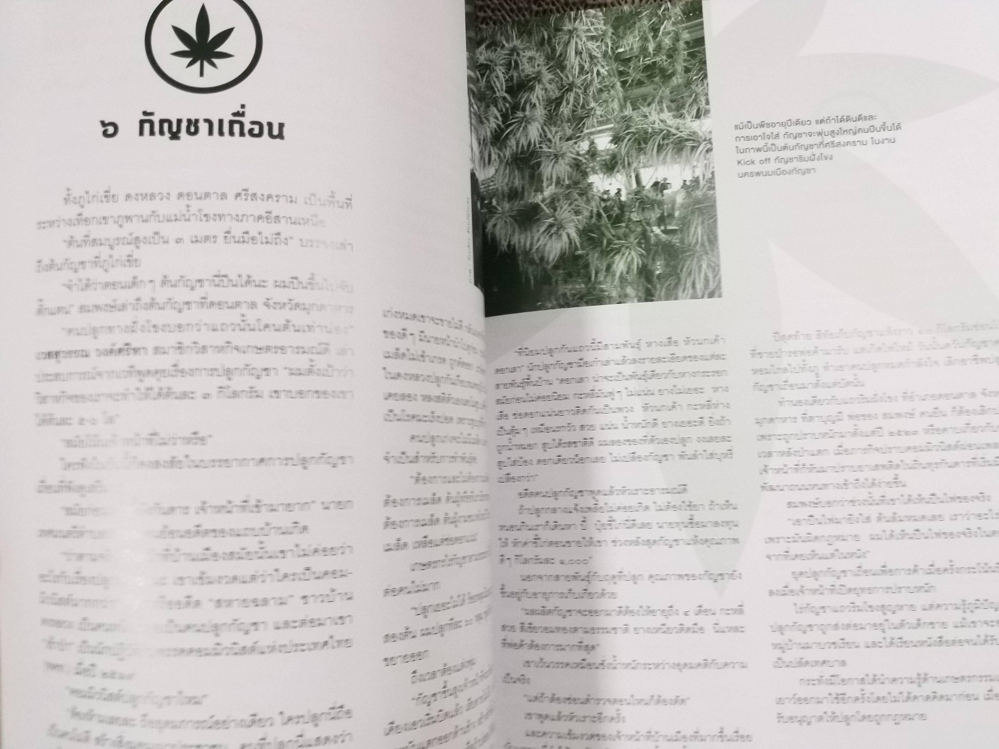 นิตยสารสารคดี ฉบับที่444 ปี2565 กระท่อม กัญชา / พันธ์กระท่อม กัญชา