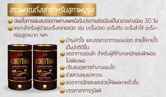 CordyThai ถั่งเช่า คอร์ดี้ไทย