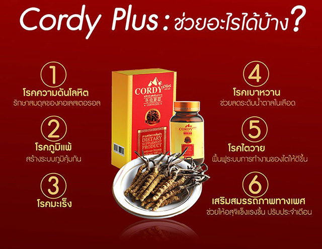 Cordy Plus คอร์ดี้พลัส ถั่งเฉ้าทิเบต อ.วิโรจน์