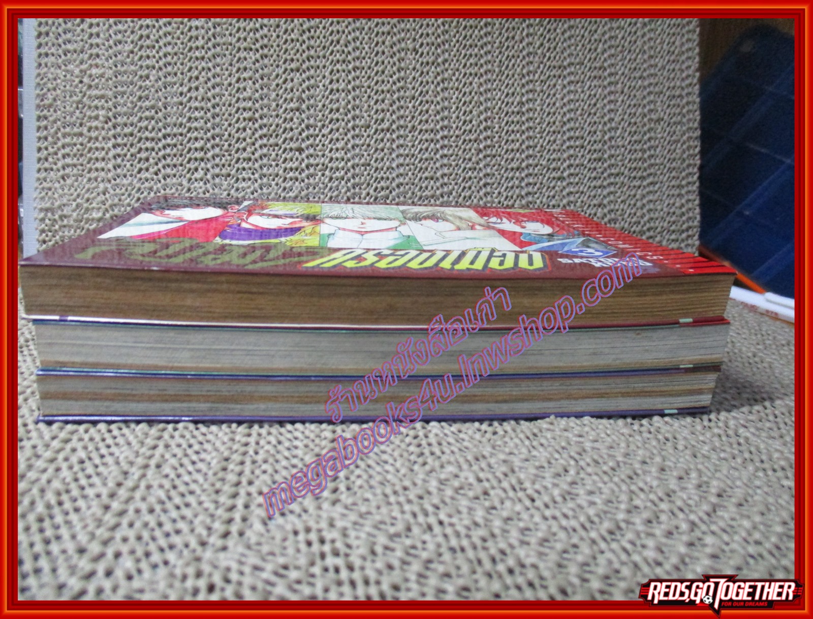 การ์ตูนบ้าน ล้างมารครองเมือง เล่ม01-03 สนพ.วิบูลย์กิจ