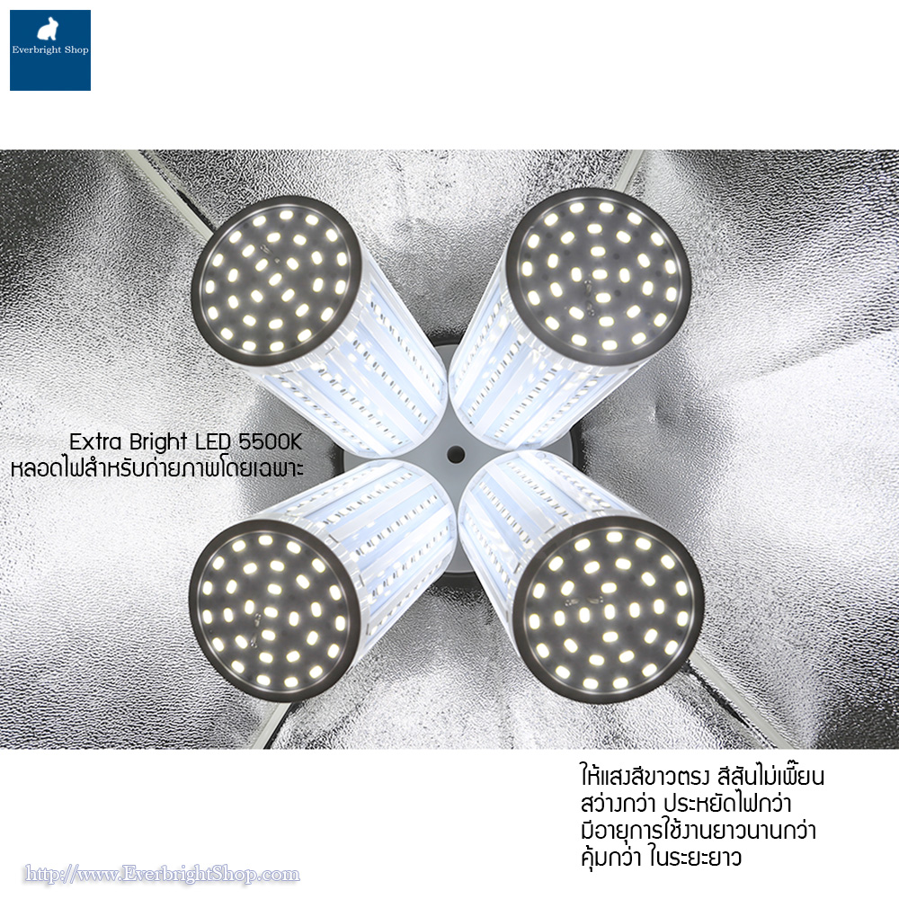 L-402 Light Kit max 8 bulbs