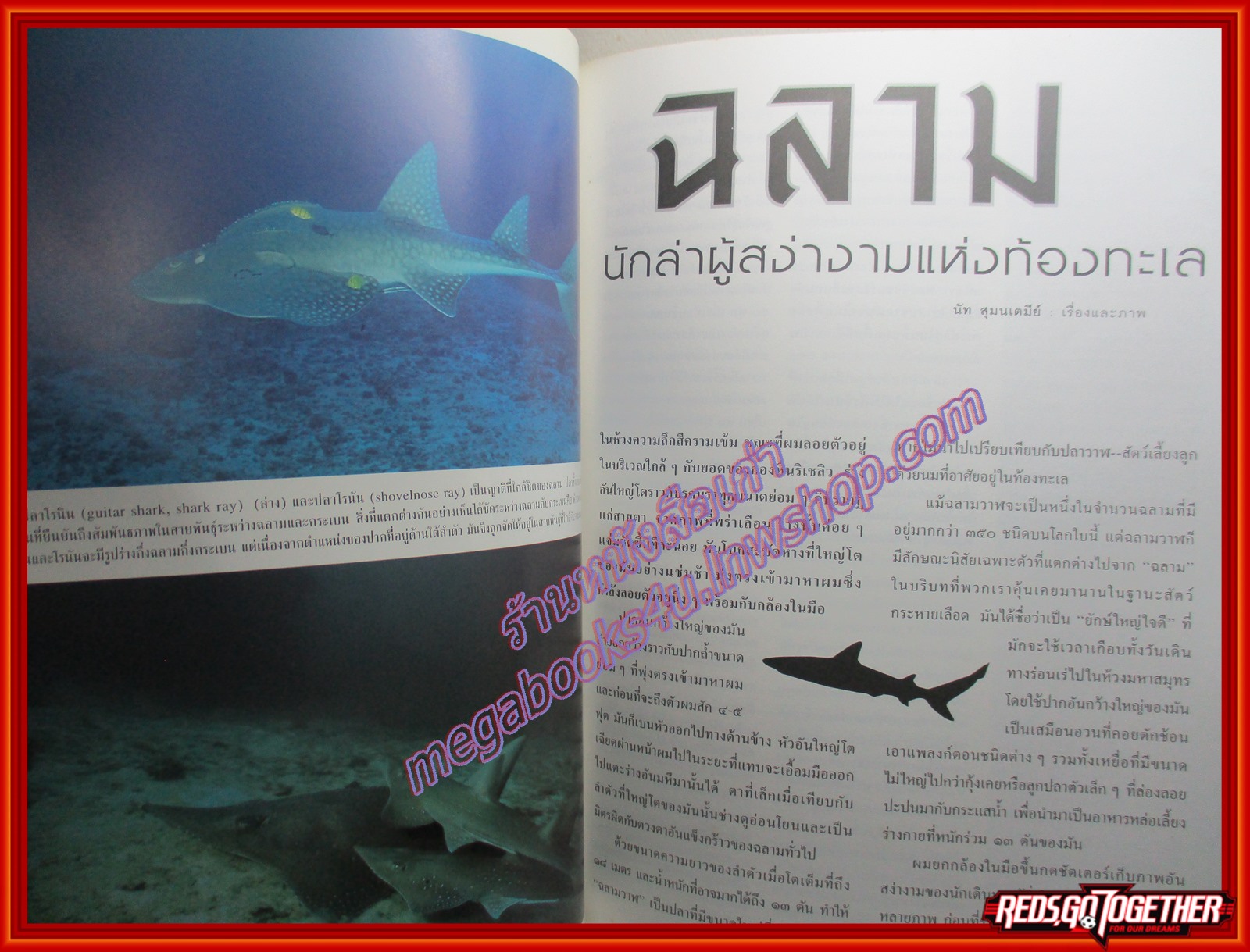 นิตยสารสารคดี ฉบับที่160 ปีที่14 2541 ฉลาม หนูทดลอง แรงงานต่างด้าว