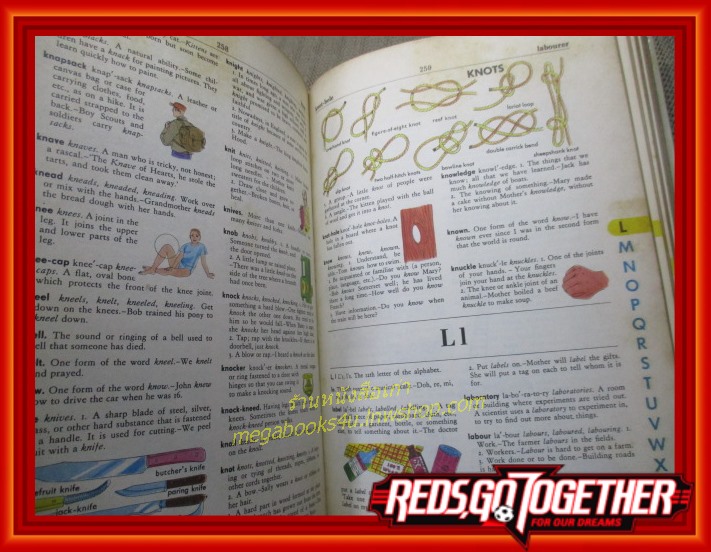 DICTIONARY / The GIANT All-Colour DICTIONARY by STUART A COURTIS and GARNETTE WATTERS