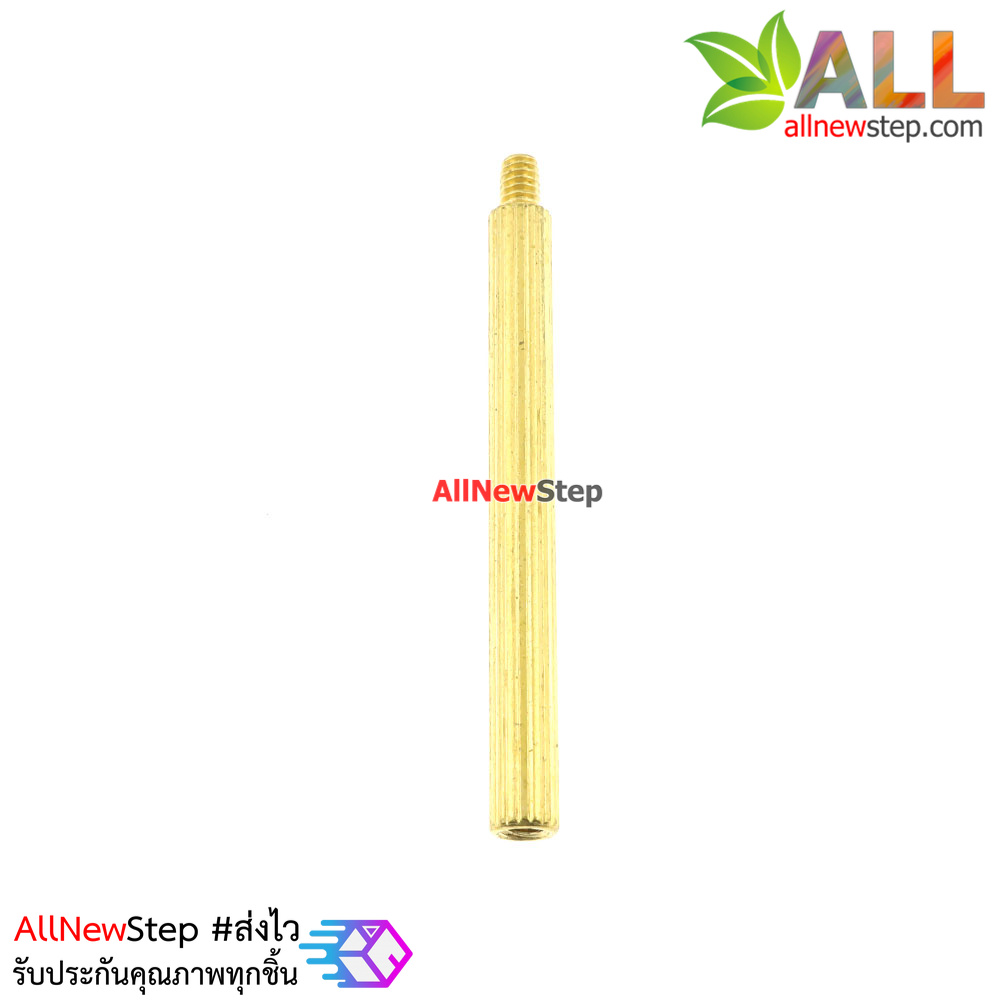 น็อตทองเหลือง NUT M2 ขนาด 30+3mm