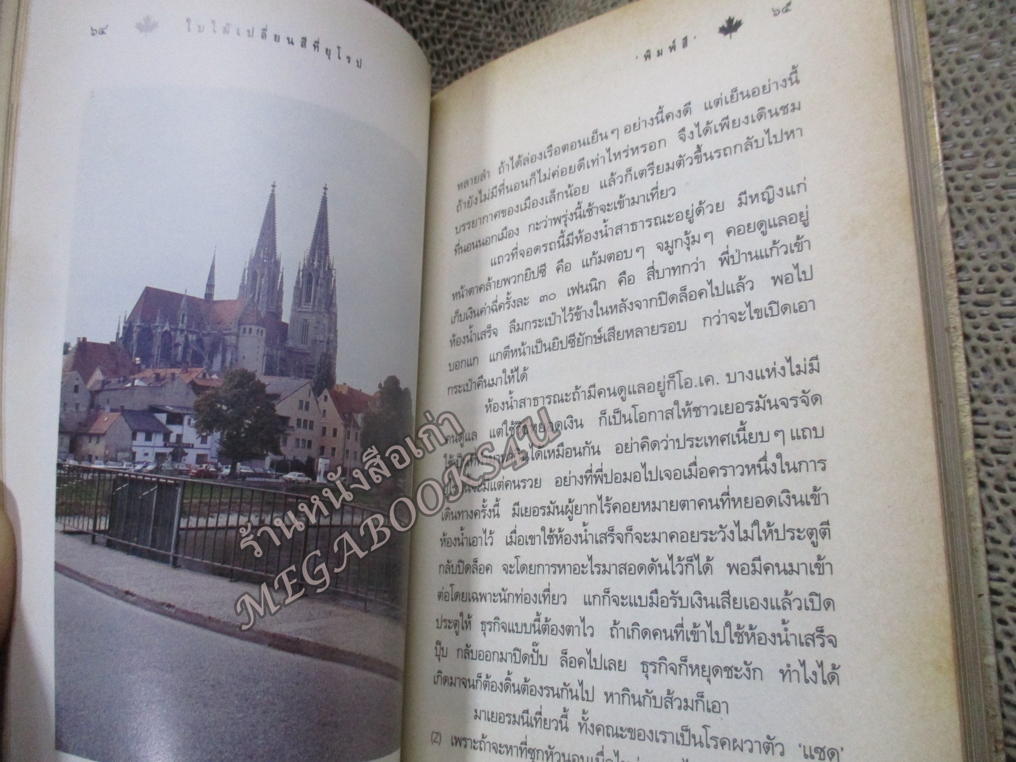 ใบไม้เปลี่ยนสีที่ยุโรป / พิมพ์สี / แพรว / รูปเล่มดี สันกระดาษเปื้อนฝุ่นเล็กน้อย (สารคดีท่องเที่ยว)