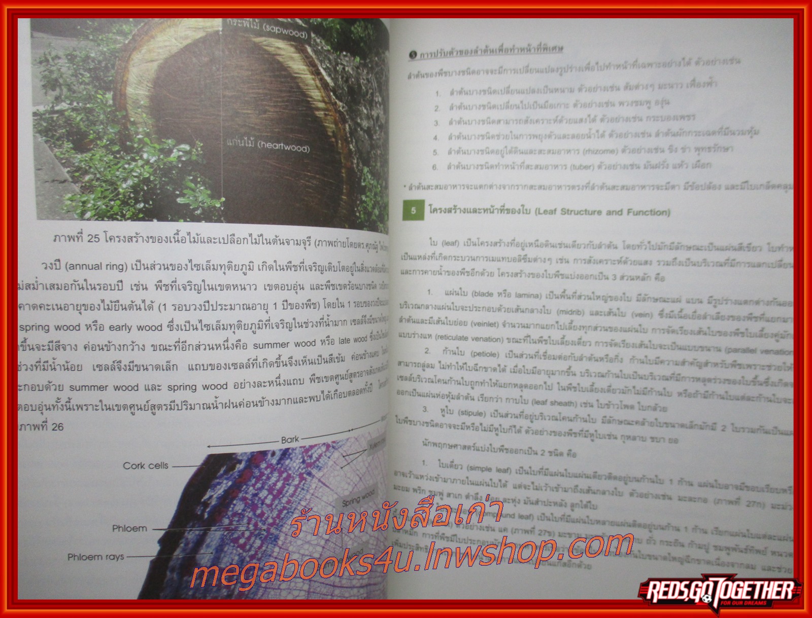 หนังสือชีวะ หนังสือชีววิทยา Biology ชีววิทยา หนังสือเรียน เตรียมสอบ /ศุภณัฐ ไพโรหกุล/ ริมปกเยินเล็กน้อย