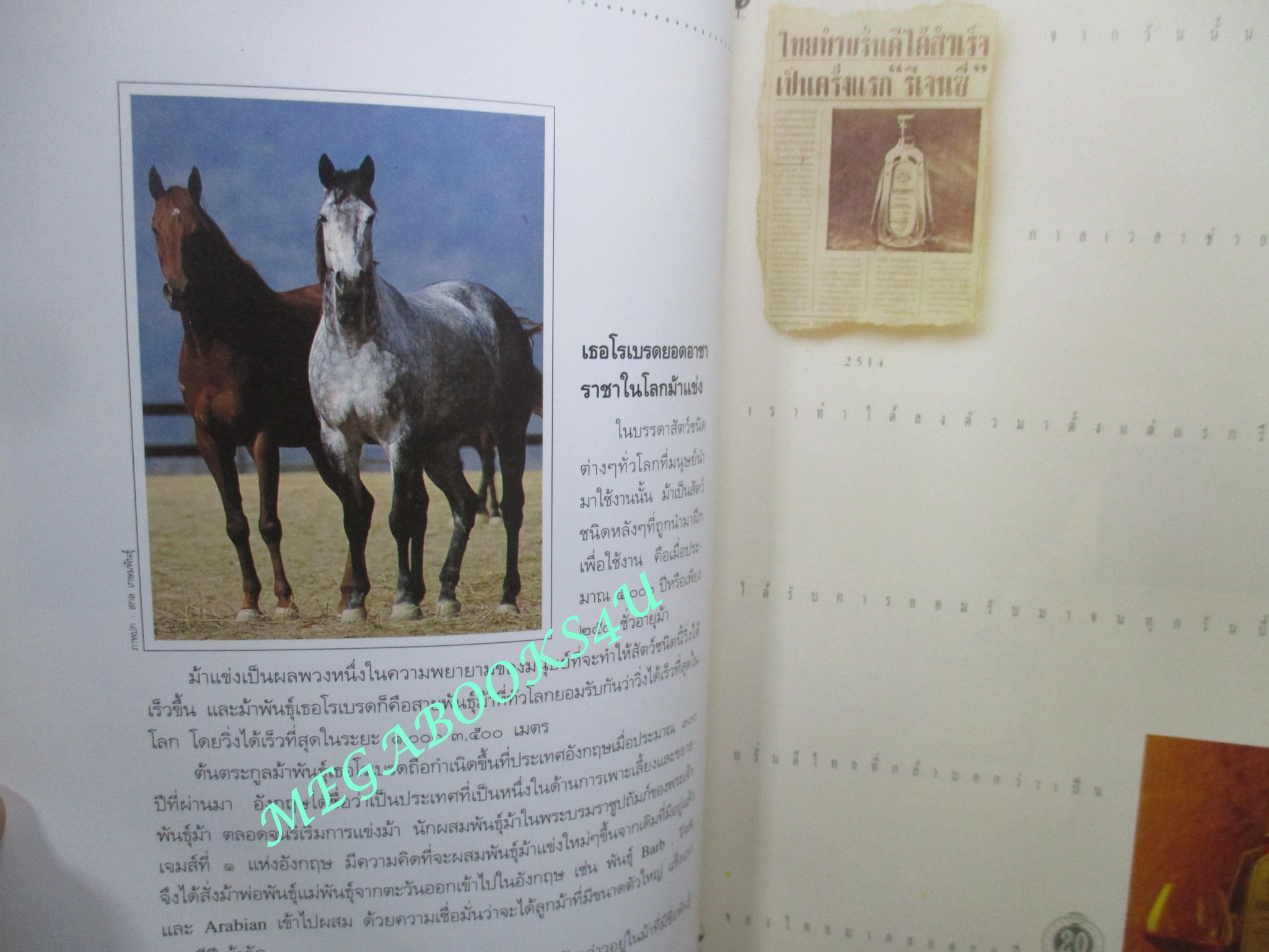 นิตยสารสารคดี ฉบับที่087 ปีที่08 ปี2535 ม้าแข่ง, ดาวเทียมสื่อสาร, ลาวอพยพ, บุรีรัมย์,