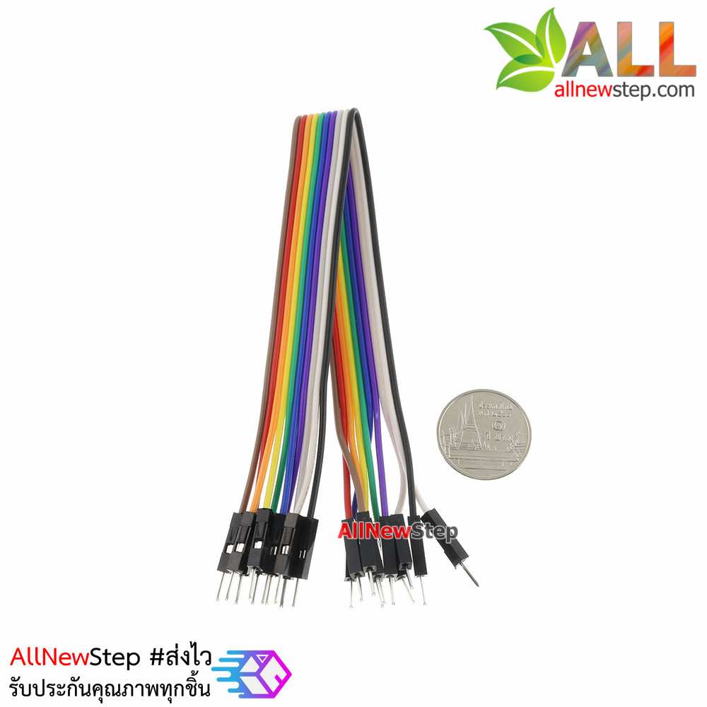 สายไฟจัมเปอร์ jumper ผู้-ผู้ ยาว 20cm จำนวน 10 เส้น