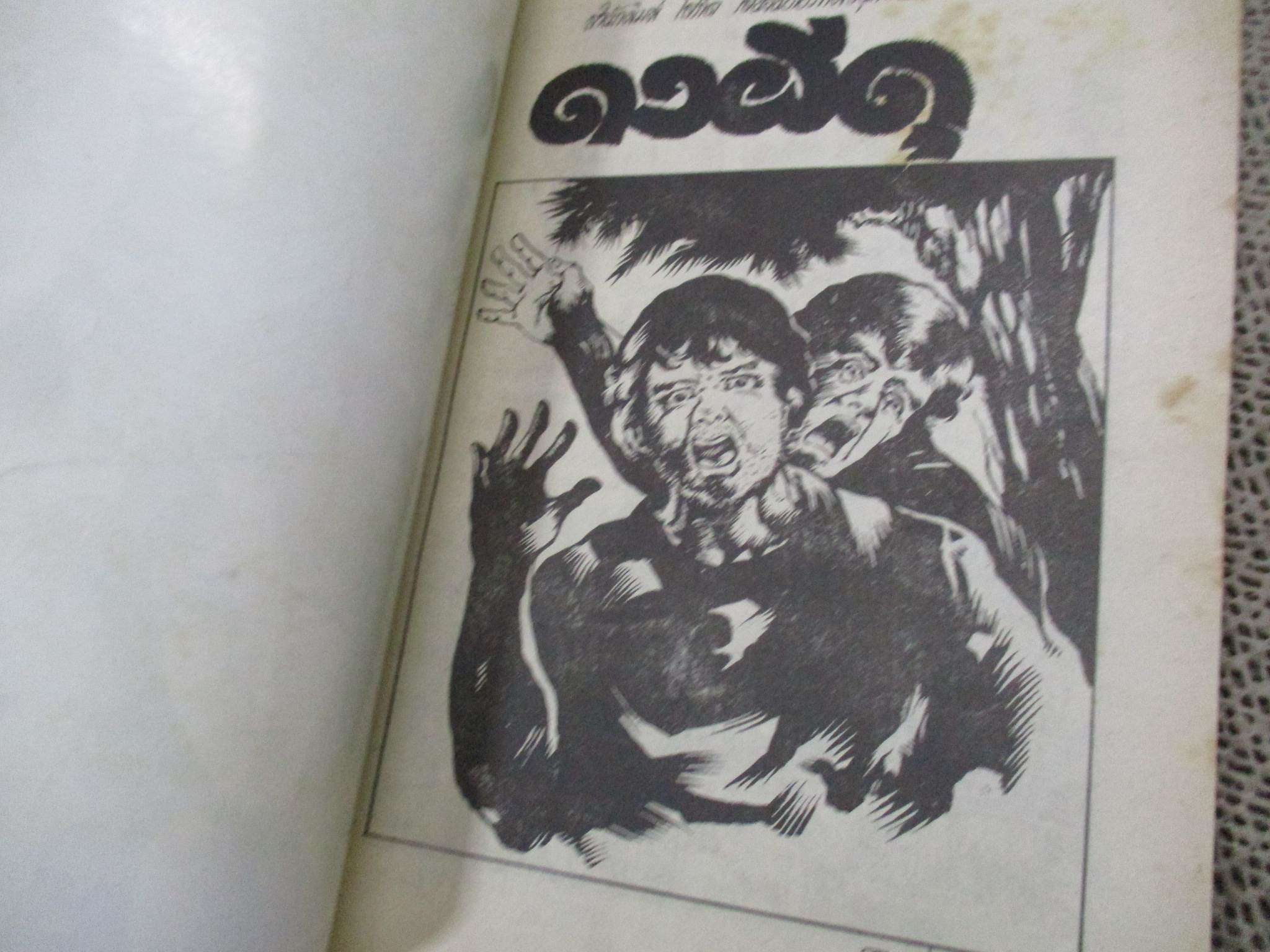 การ์ตูนไทยเล่มละบาท ปก5บาท เรื่อง ดงผีดุ