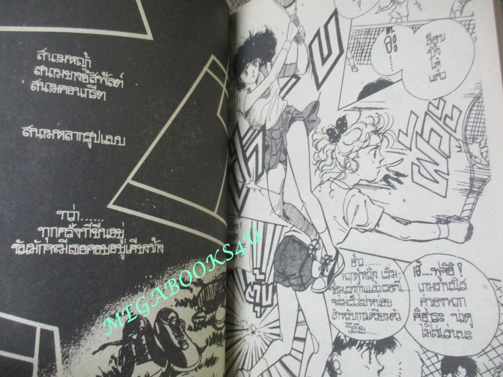 การ์ตูนบ้าน คู่หู / SANO MIOKO / เล่มเดียวจบ / สยามฯ /