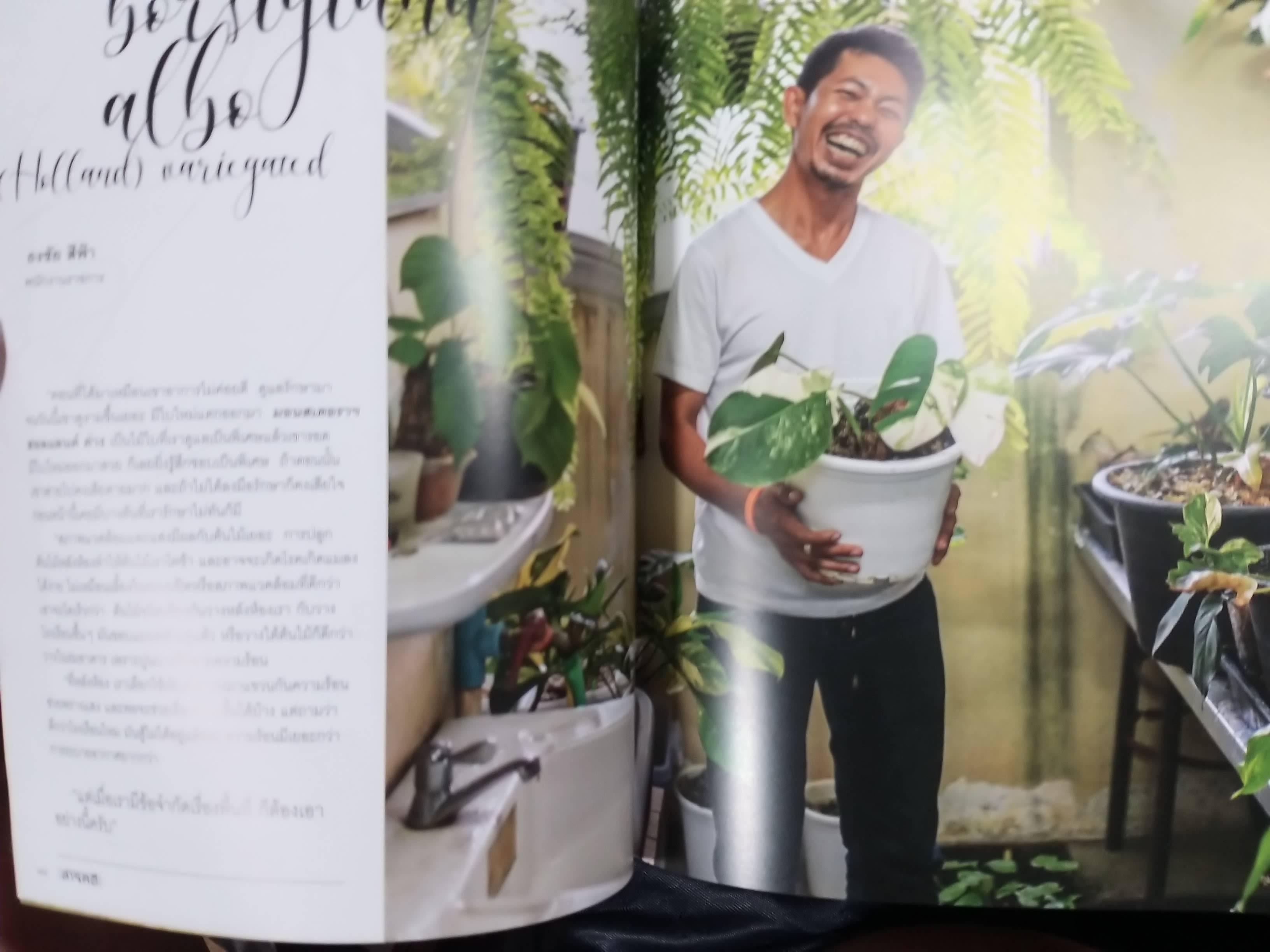 นิตยสารสารคดี ฉบับที่431 ปี2564 ไม้ใบที่รัก / ม่าเมี่ยว มนุษย์ประหลาด /