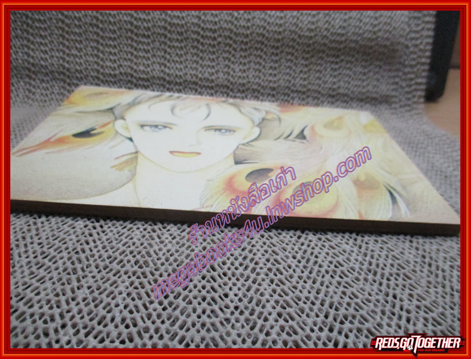 การ์ตูนบ้าน ขออย่าให้ พลาดรักซ้ำสอง เล่มเดียวจบ