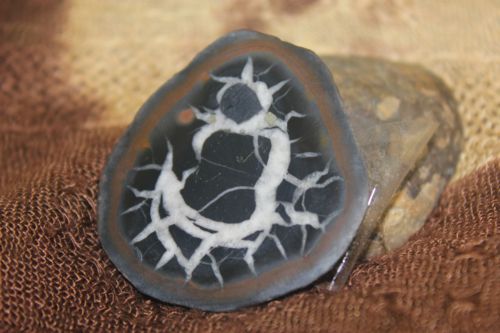 เซ็ปแทเรี่ยน (Septarian)