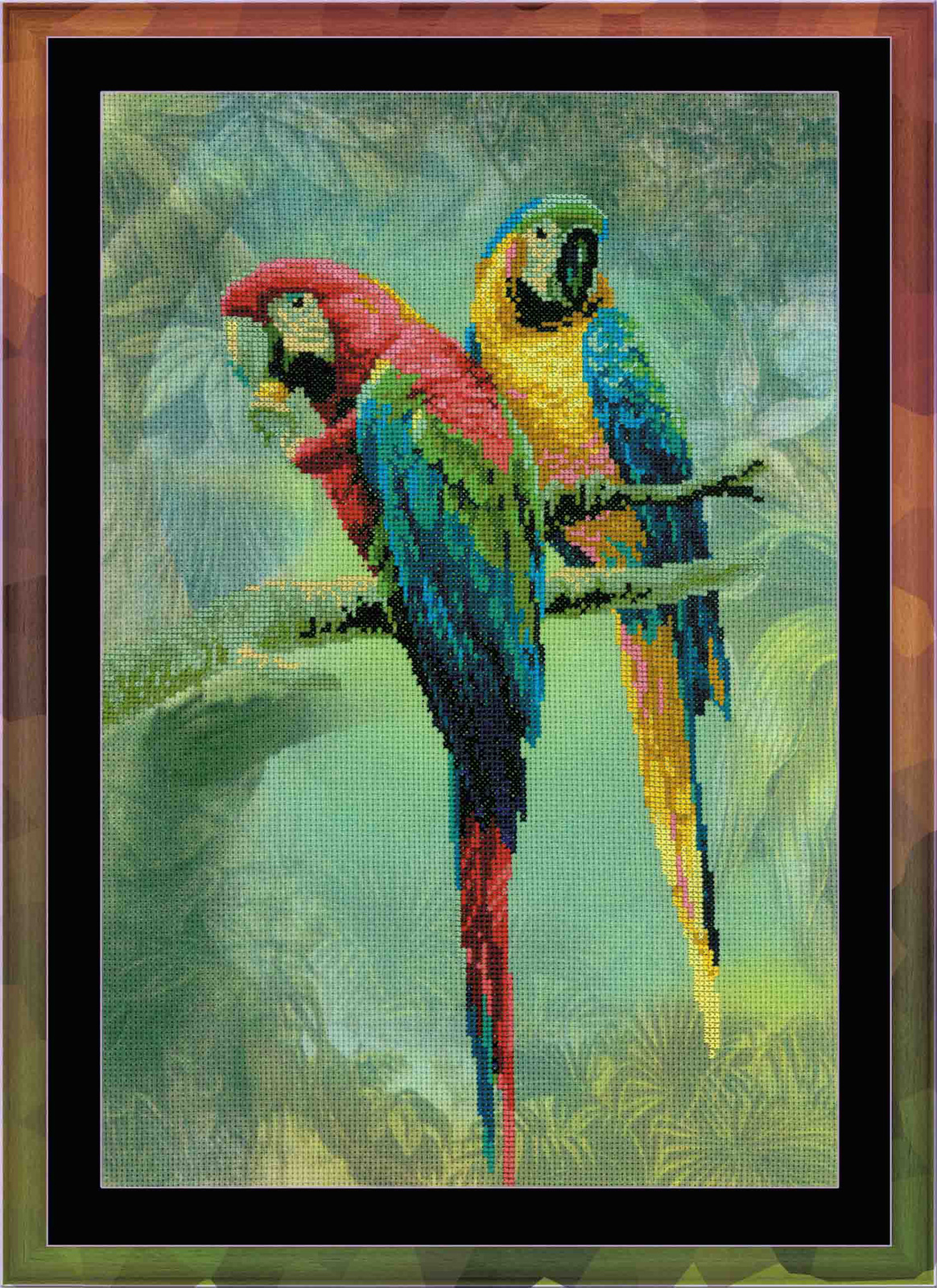 Riolis The Ara Parrots
