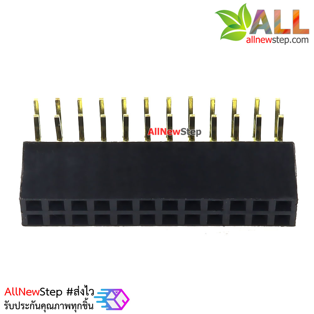 ขาก้างปลาตัวเมียแบบฉาก 2x12 ขา Double Row Hole Jack 2x12PIN Header 2.54mm