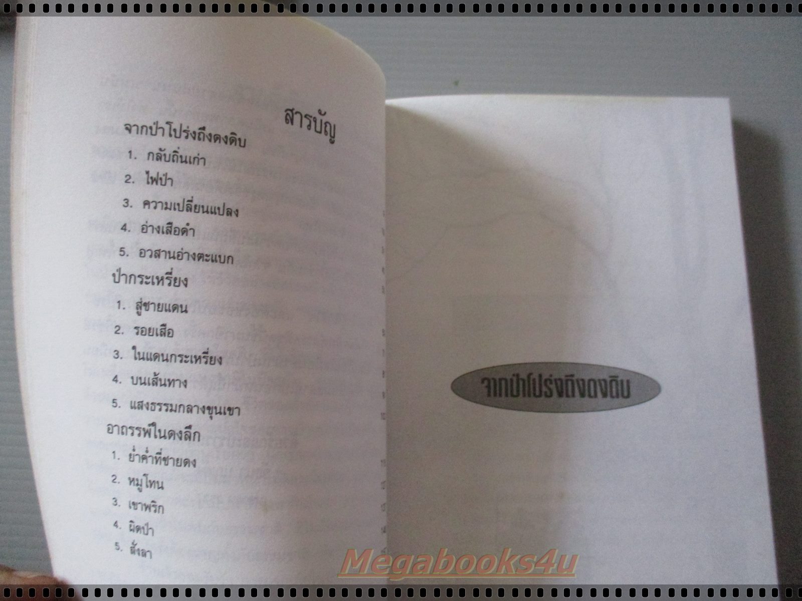 จากป่าโปร่งถึงดงดิบ โดย วัธนา บุญยัง