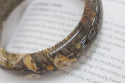 ไม้กลายเป็นหิน ( petrified wood )