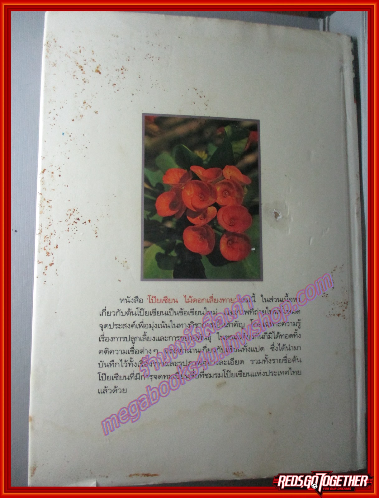 โป๊ยเซียน ไม้ดอกเสี่ยงทาย เล่ม1 โดย อุไร จิรมงคลการ